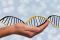 Analisi Genetiche